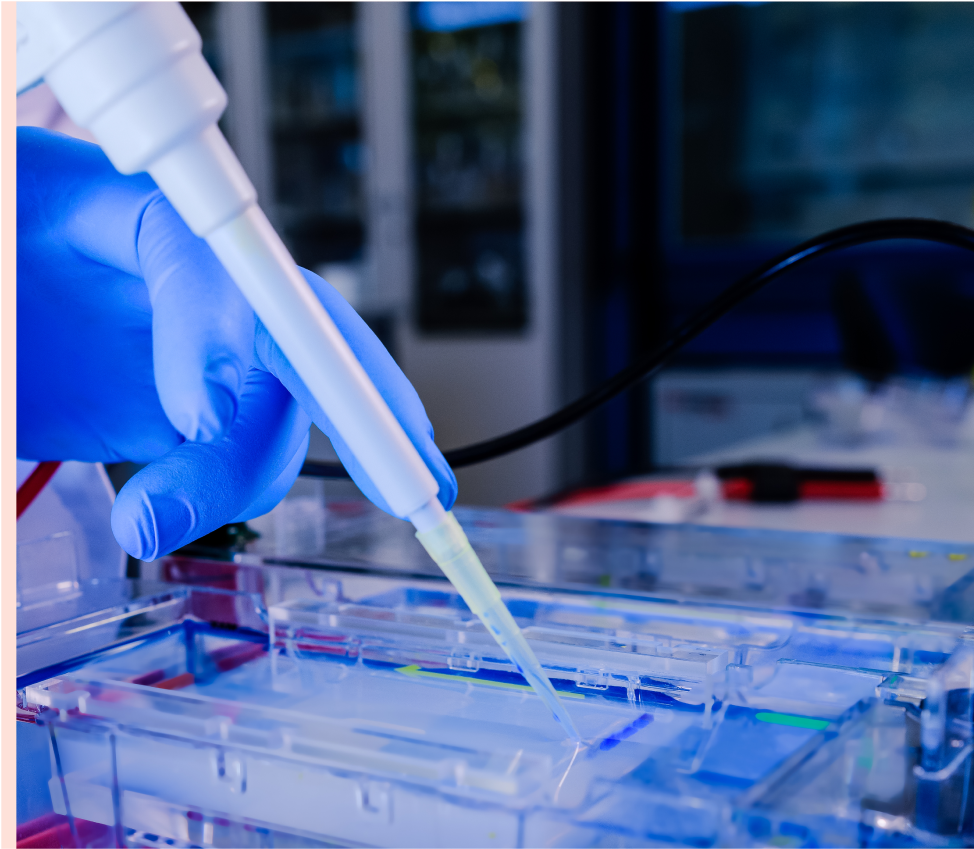 Bacterial Denovo Transcriptome Assembly