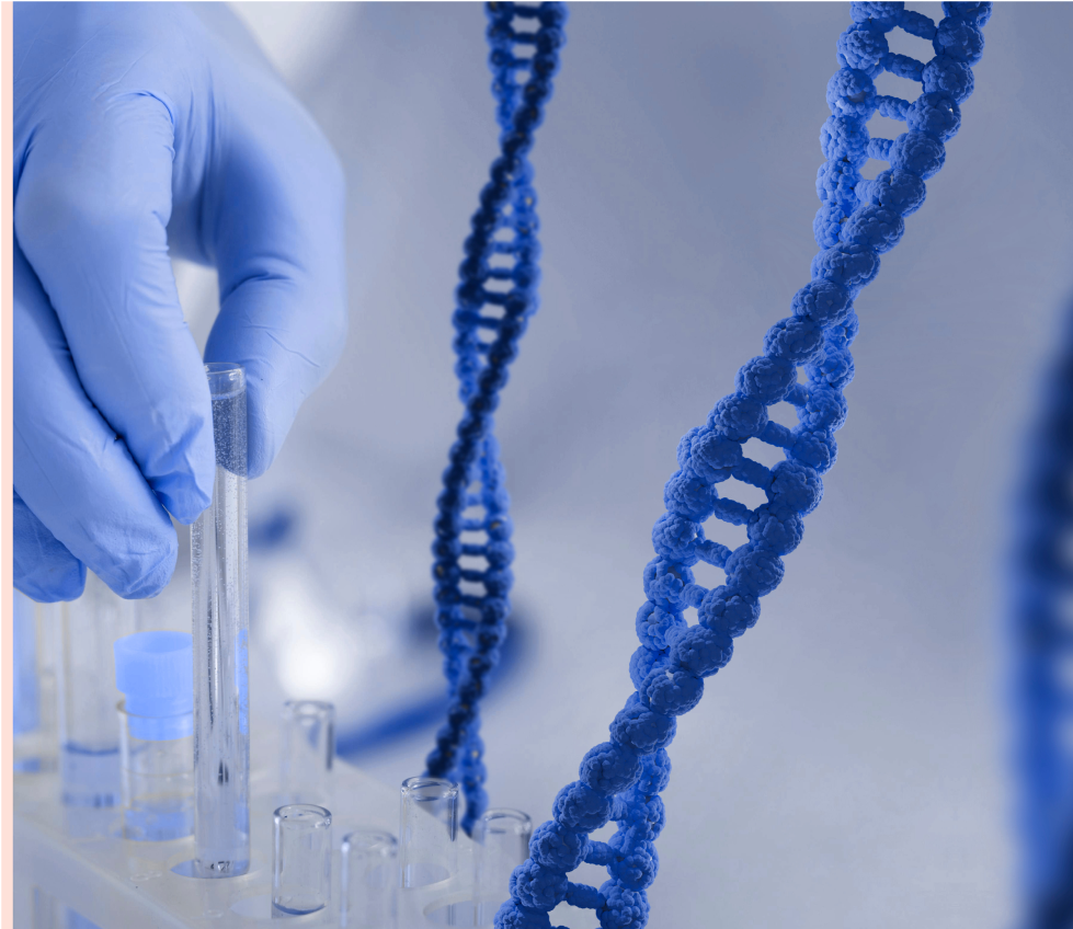 Small RNA Sequence